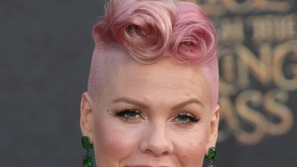 Пинк показа новородения си син