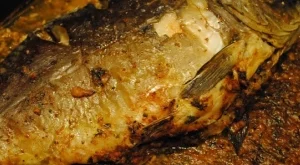 Пълнен шаран