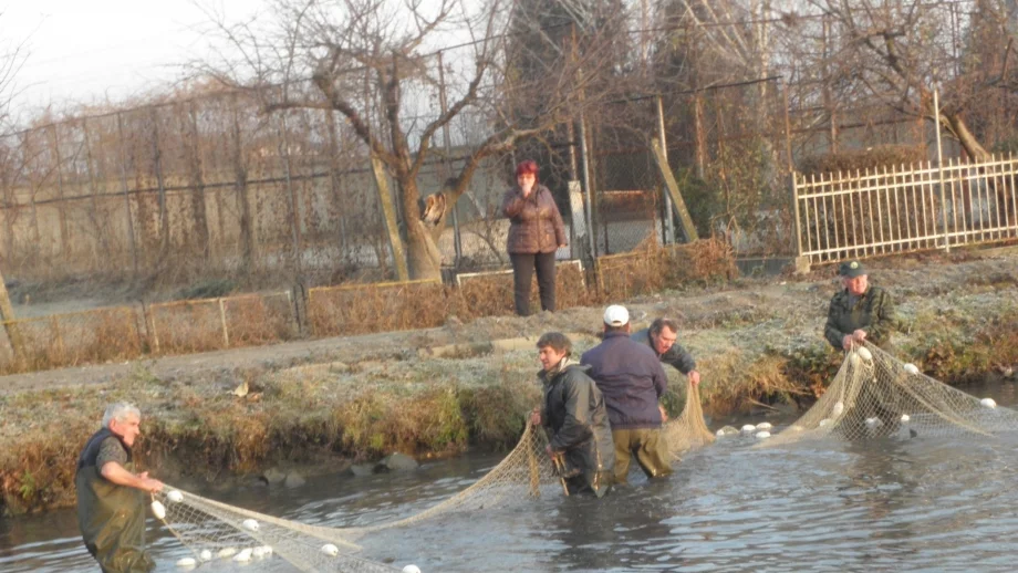 Рибари настояха за повече предвидимост в сектора 