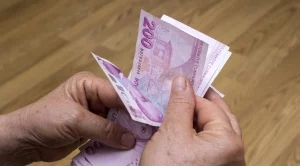 "Заговорът" срещу турската лира