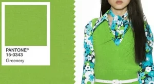 Избраха цвета на 2017