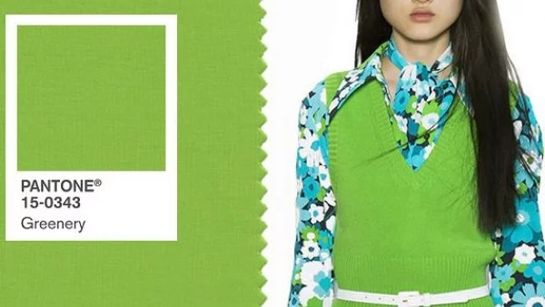 Избраха цвета на 2017