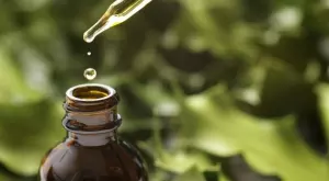  3 доказани ползи от етеричното масло от чаено дърво