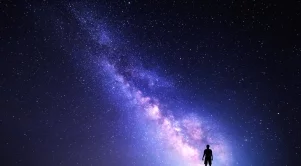 2016/12/22/0816088001482398761