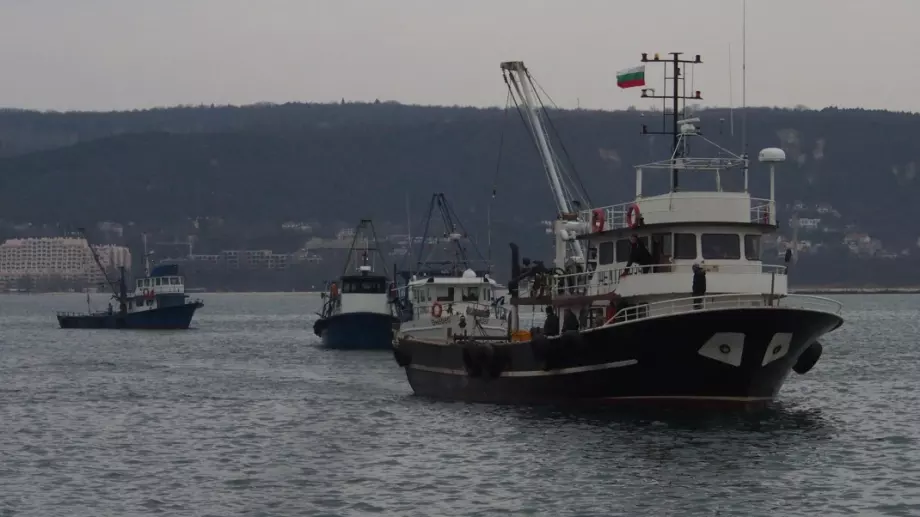 Морето е пълно с риба, вадят по 200 кг на ден