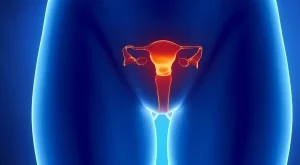 5  неща, които трябва да знаете за яйчниците си