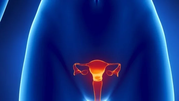 5  неща, които трябва да знаете за яйчниците си