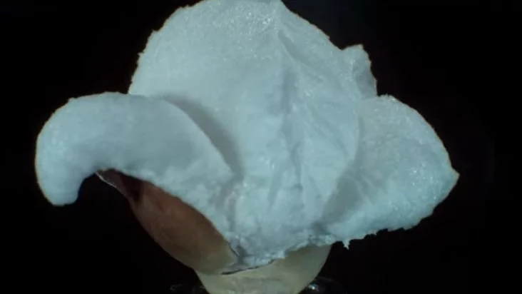 Хипнотизиращо разпукване на пуканка на забавен кадър (Видео)