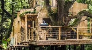 Определено бихте живели в тази къща на дърво