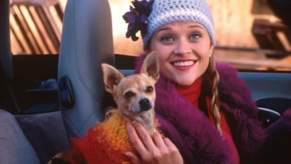 Уидърспуун намека за  "Професия блондинка 3"