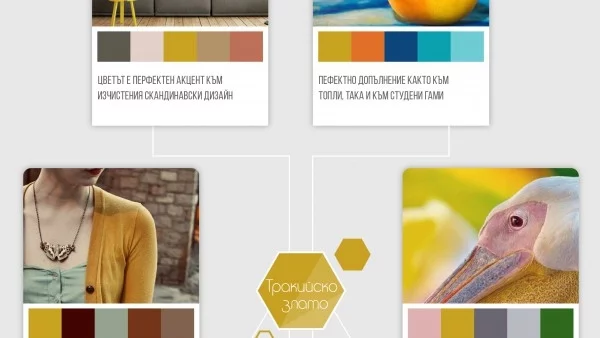 Цветът на 2017 в интериорния дизайн