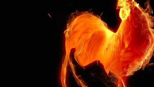 10 неща, които трябва да знаем за годината на Огнения петел