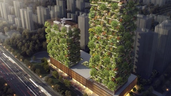 Вертикални градини пречистват въздуха