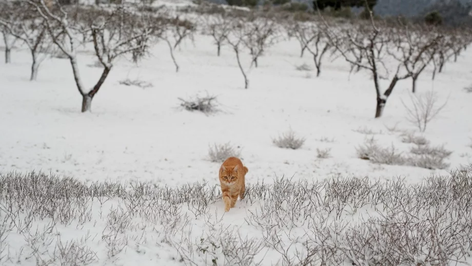 Очаква ни зима с много сняг