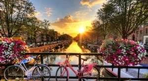 2017/02/06/0520085001486385732