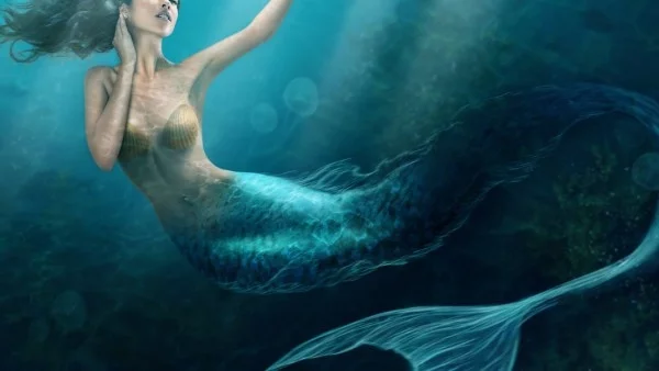 Отговорете на тези 4 въпроса и разберете какви сте