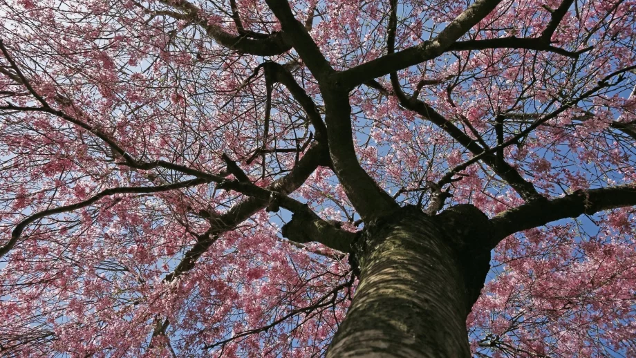 Ето какво време ни очаква през април 