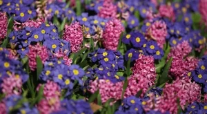 2017/02/22/0851662001487788366