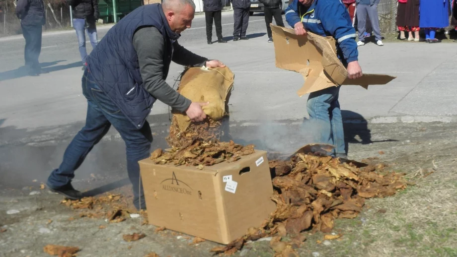 Тютюнопроизводителите заговориха за безсрочни протести