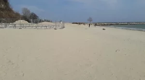 2017/03/09/0776418001489060997