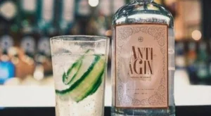 Вече има джин срещу бръчки