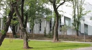 2017/03/13/0904237001489385379