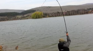 Забранява се уловът на риба в рибностопанските обекти 