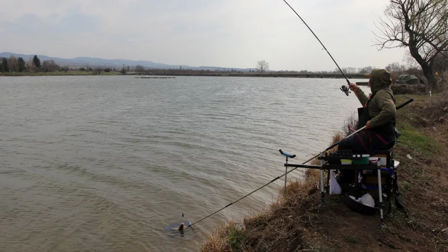 Въвеждат се по-строги наказания за бракониерите