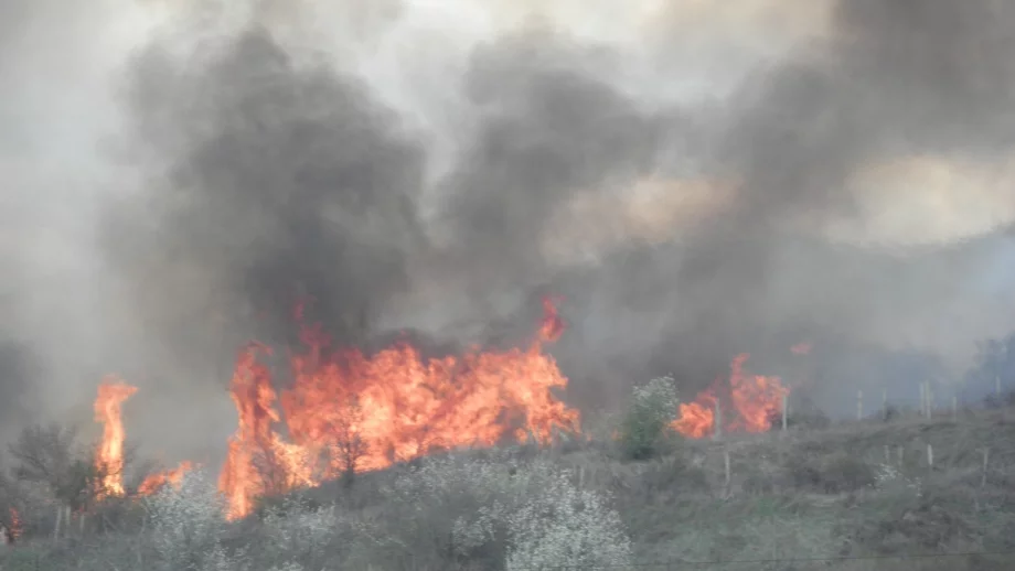 Какво да направите, ако попаднете в пожар сред природата