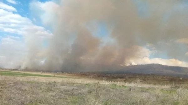 Пожар бушува в овощни градини и лозя край Мурсалево