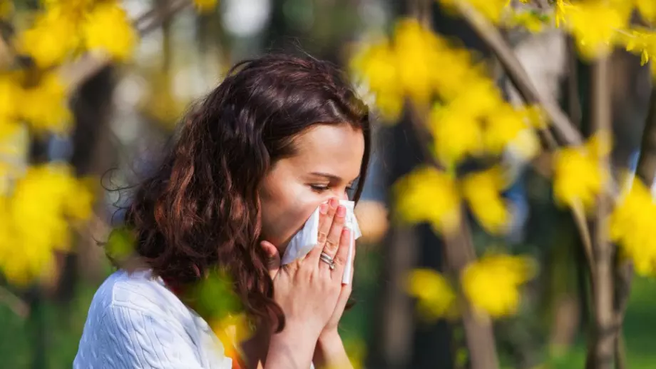Как да избегнете алергиите през лятото   