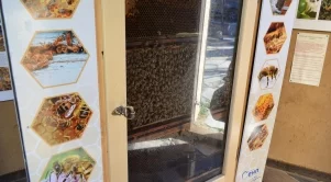 Откриха първия "Музей на пчелата" в София 