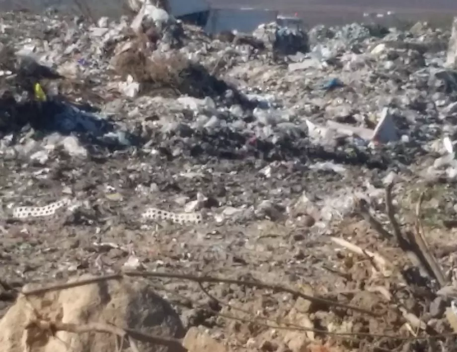 Близо 200 тона потенциално опасни отпадъци откриха в Пловдив