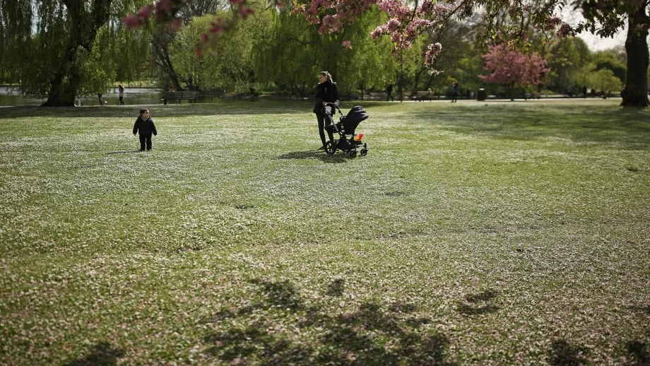 Общини улесняват застрояването на зелени площи в нарушение на закона
