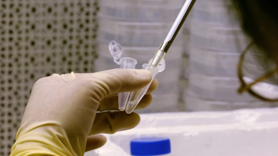 В България е изолиран нов грипен щам - "Виктория"