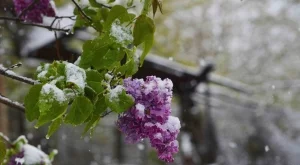 Ето какво време ни очаква през тази седмица (4 - 10 декември)