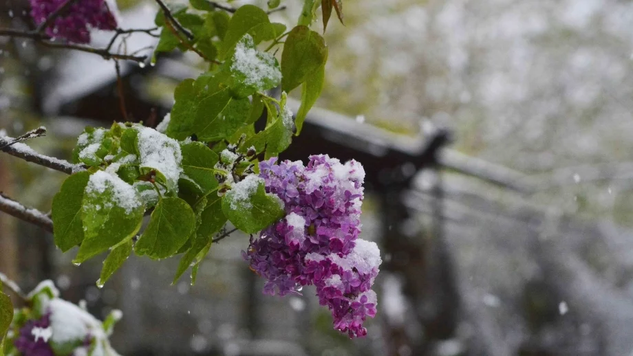 Ето какво време ни очаква през тази седмица (4 - 10 декември)