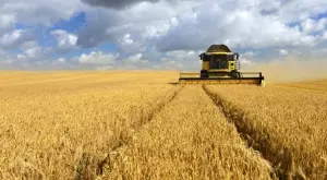 Течни торове - задължителни за подхранване на почвата