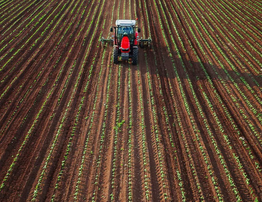 2.6 млрд. лева от ЕС ще разпредели ДФ „Земеделие” през тази година