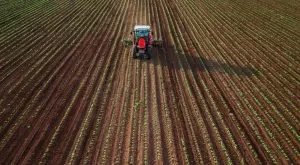 Аграрният сектор с най-ниска производителност на труда у нас