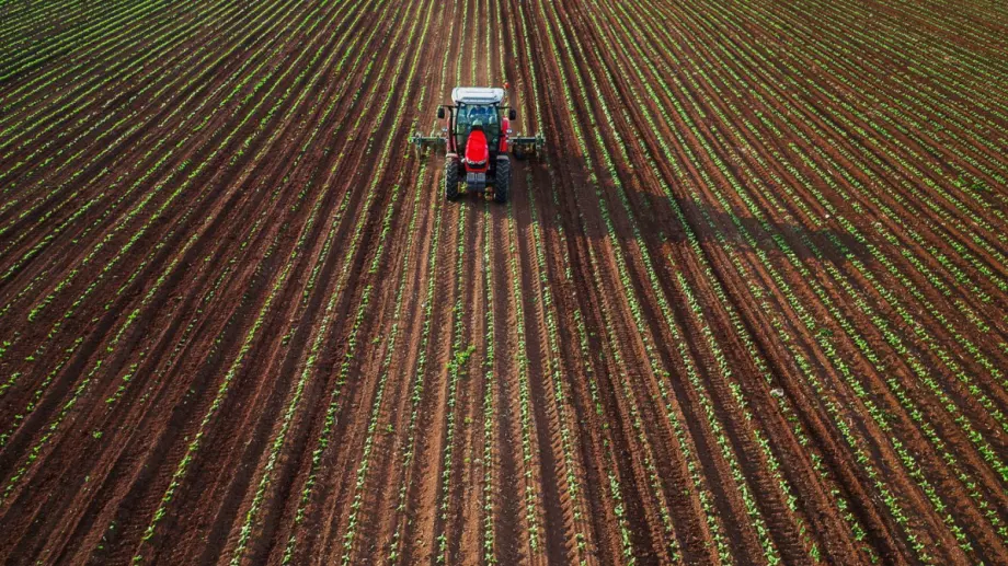 Аграрният сектор с най-ниска производителност на труда у нас