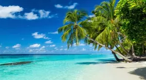 На Малдивите ще ваксинират туристите на място