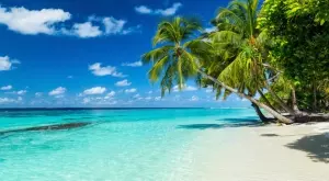 Малдивите изчезват, до края на века над 1000 острова ще са само спомен