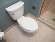 Лесни начини за отпушване на тоалетната