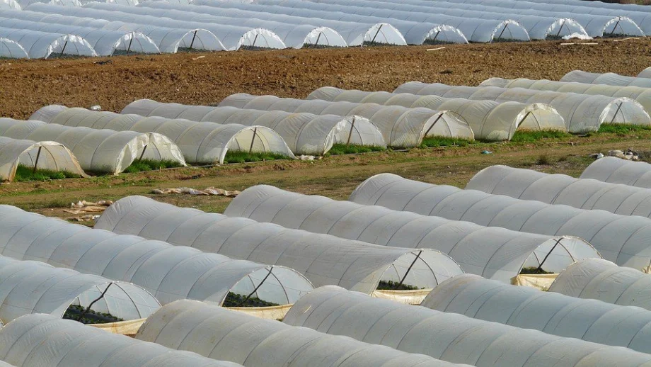 Нервите на биопроизводителите по адрес на държавата не издържаха: Негодници и некадърници