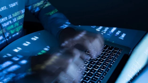 Мащабна кибератака в Грузия удари сайтовете на президента, съдилищата и медиите