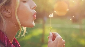 Първи фестивал за енергийна психология 