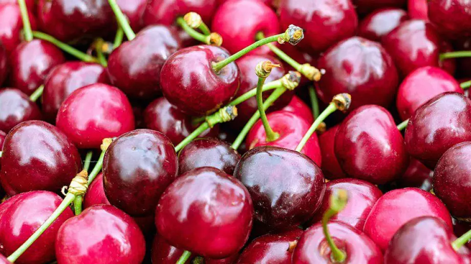 На какви цени ще видим първите череши по магазините?