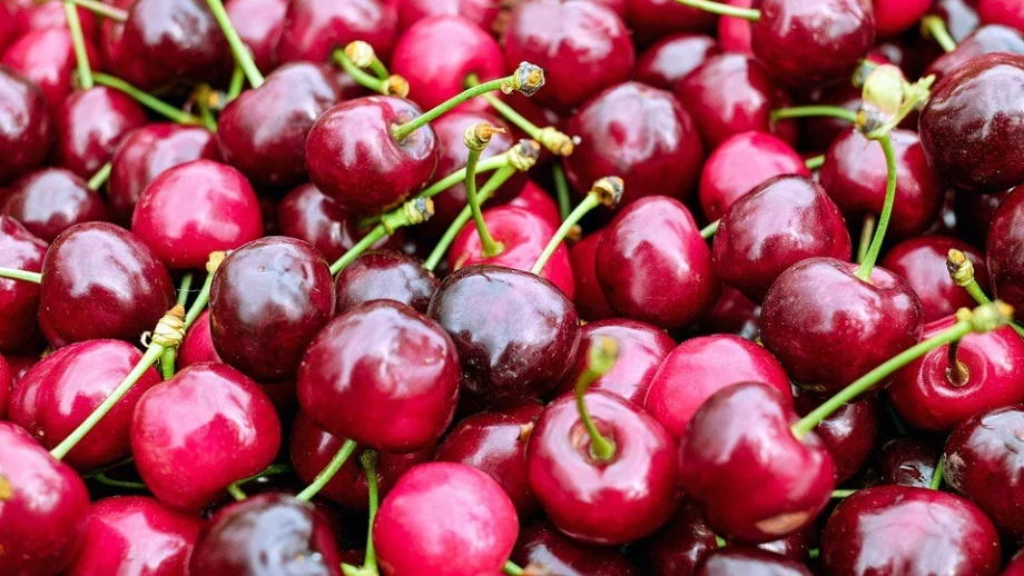 Черешите поевтиняха ударно на едро
