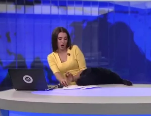 Куче нахлу по време на новинарска емисия (Видео)
